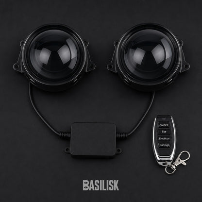 Full kit: two lenses, one driver box and the four-button remote